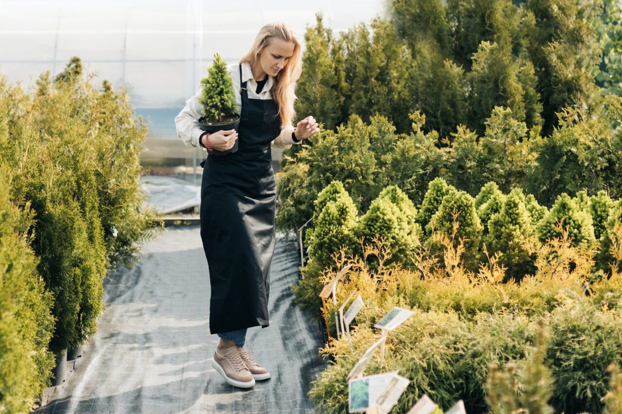 Revitalizing Outdoor Spaces with Natural Elegance