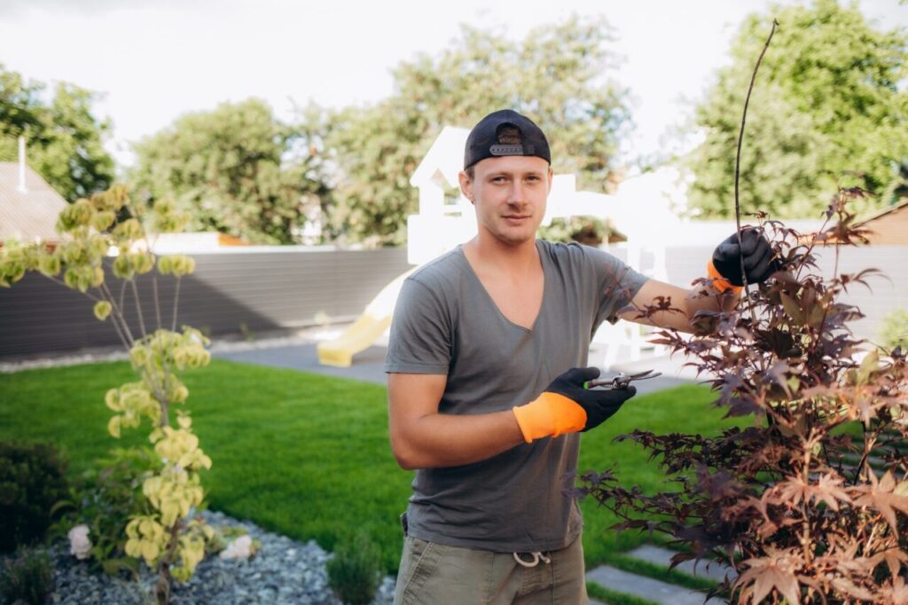 Professional Gardener at Work. Gardener Trimming Garden Plants. Topiary Art.